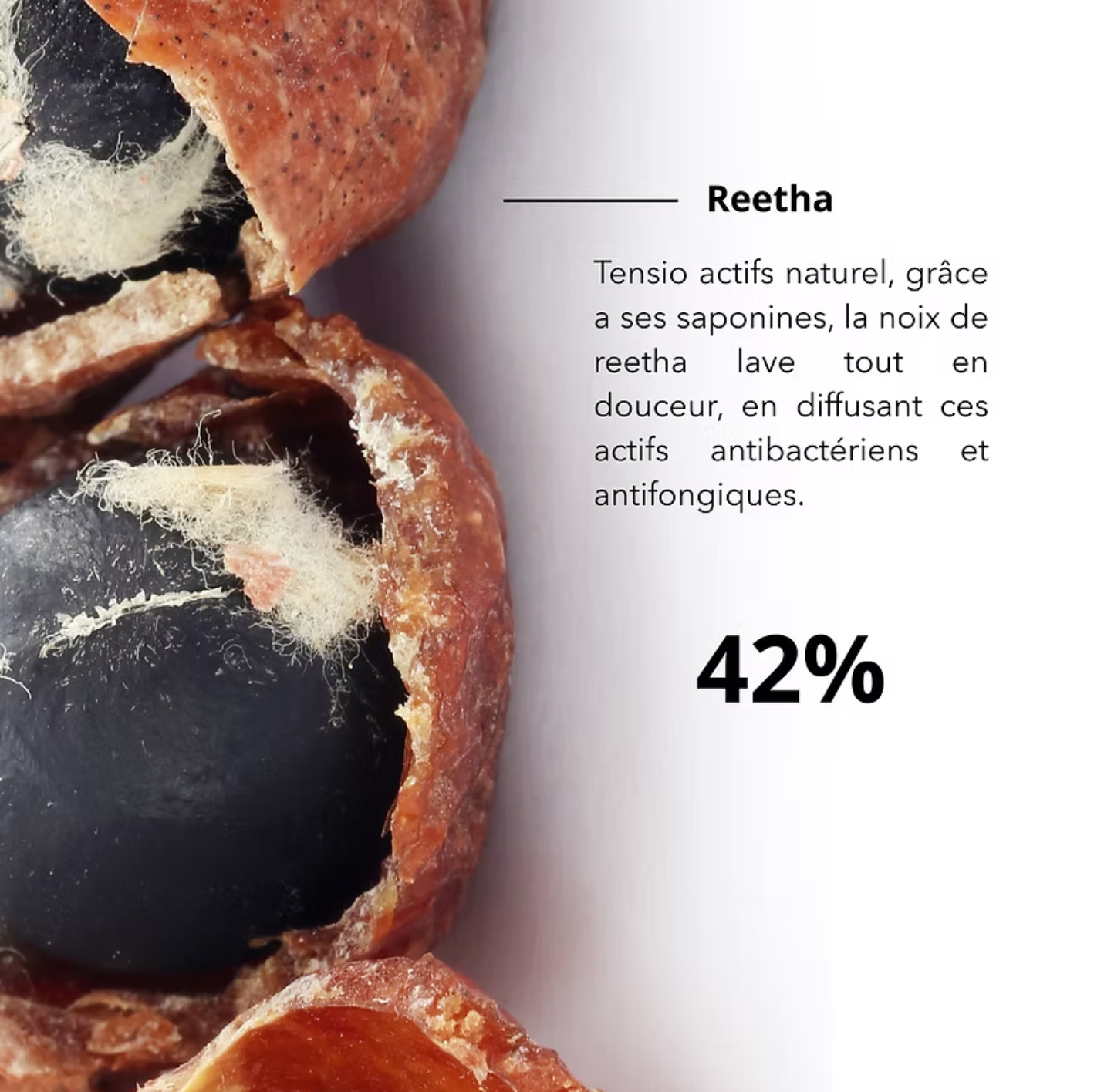 RAW SHAMPOO BOTANICA