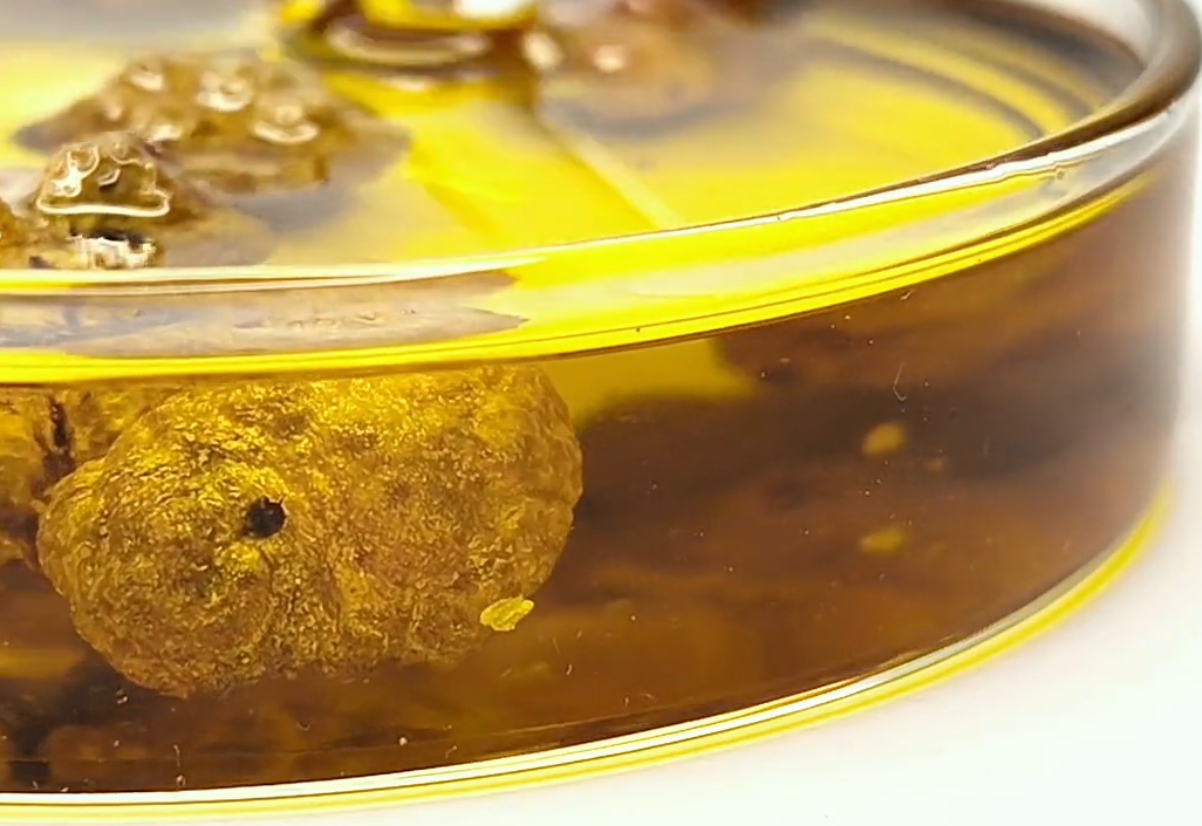 molecule